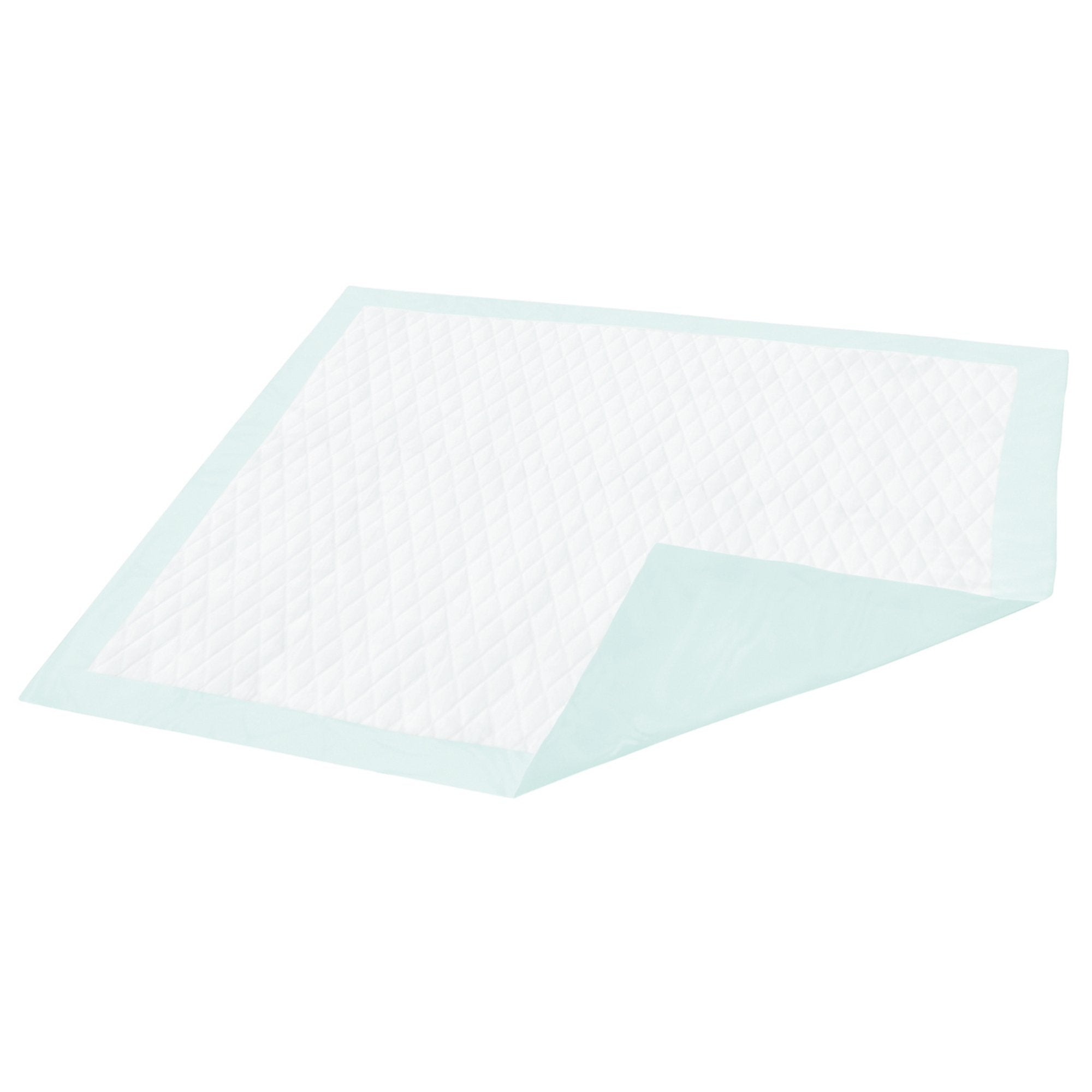 Simplicity Basic Underpad, Disposable, Light Absorbency, 23 X 24 Inch