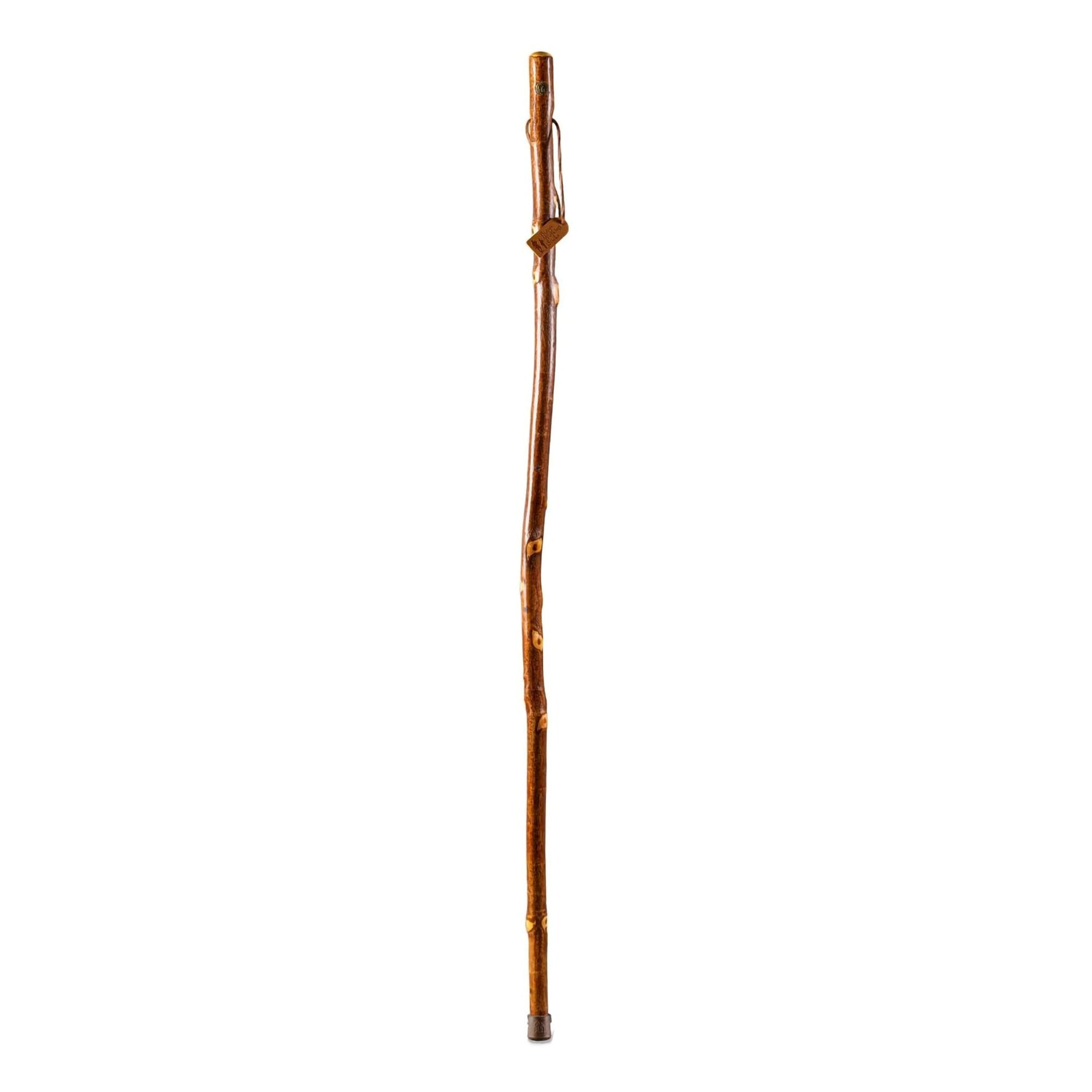 Brazos™ Sassafras Rustic Walking Stick, 58-Inch